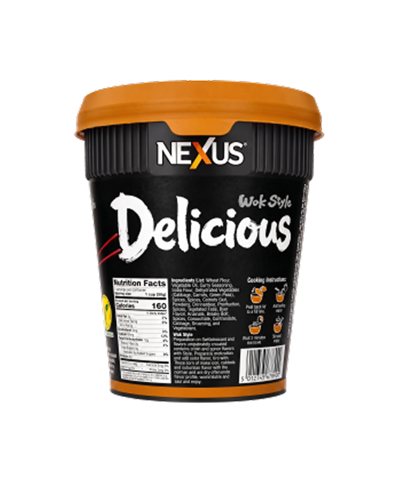 Japanese Curry Noddle